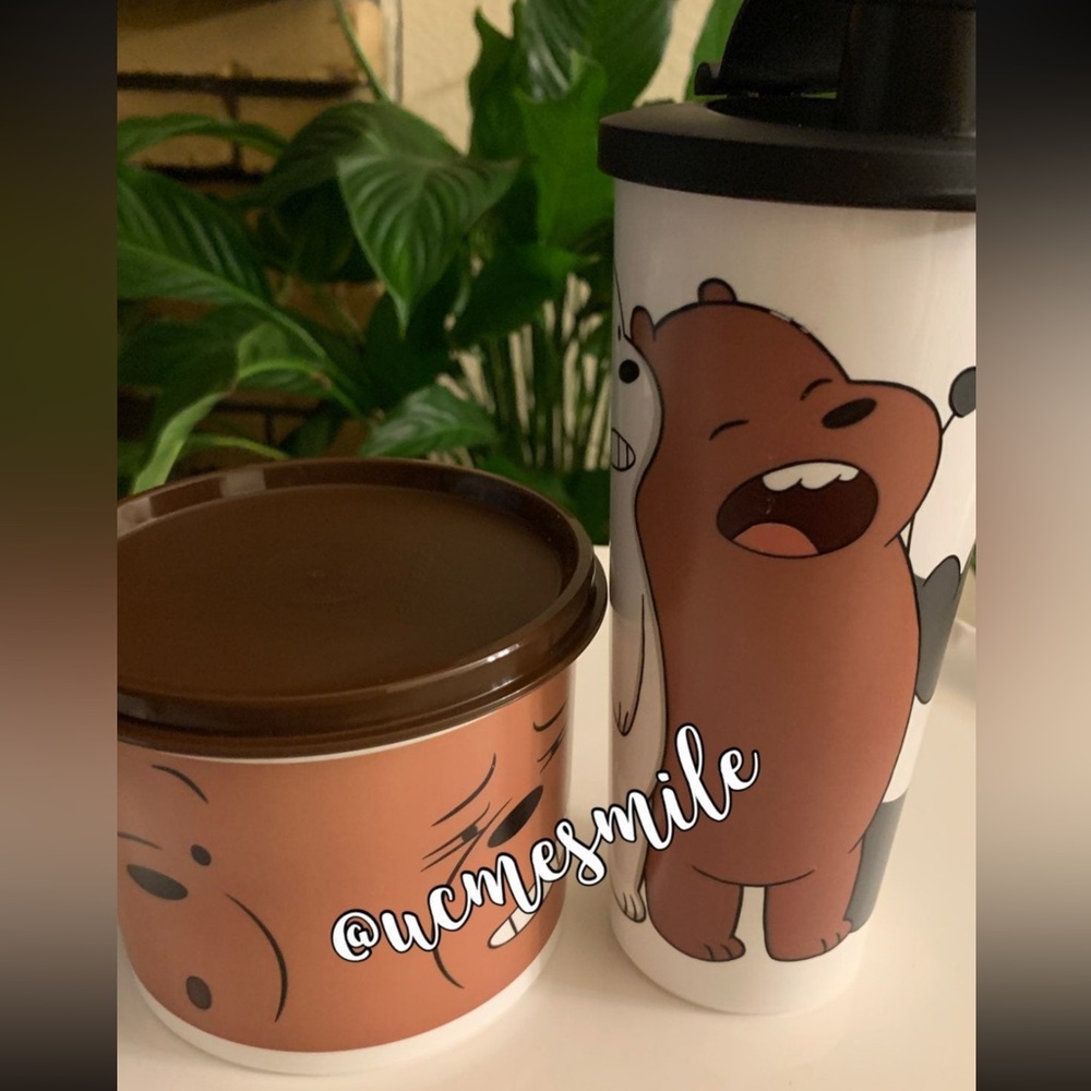 Tupperware We Bare Bears Tumbler and Container Set